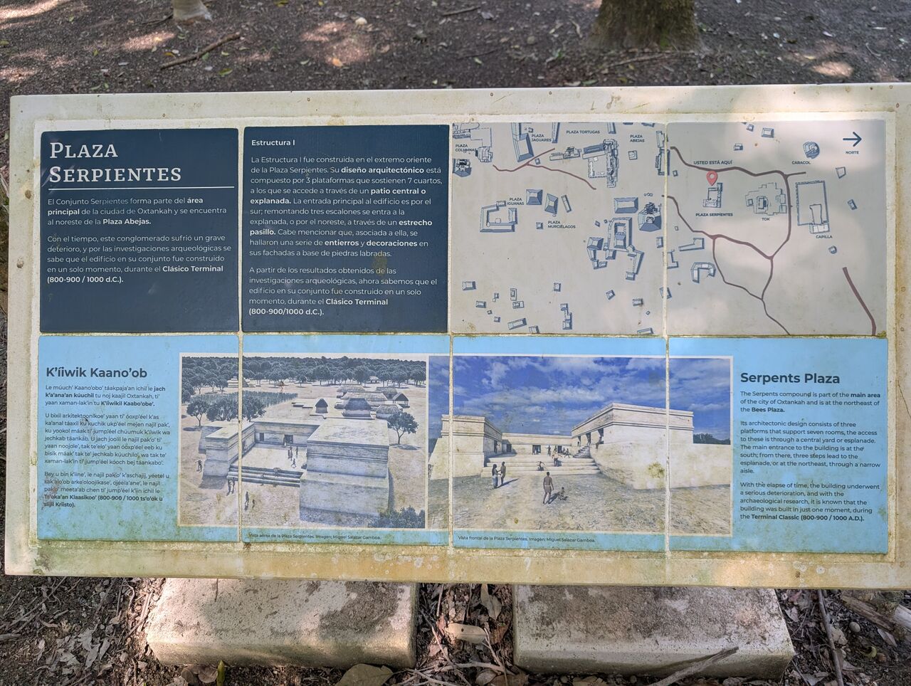 PXL_20260103_183038444.MP