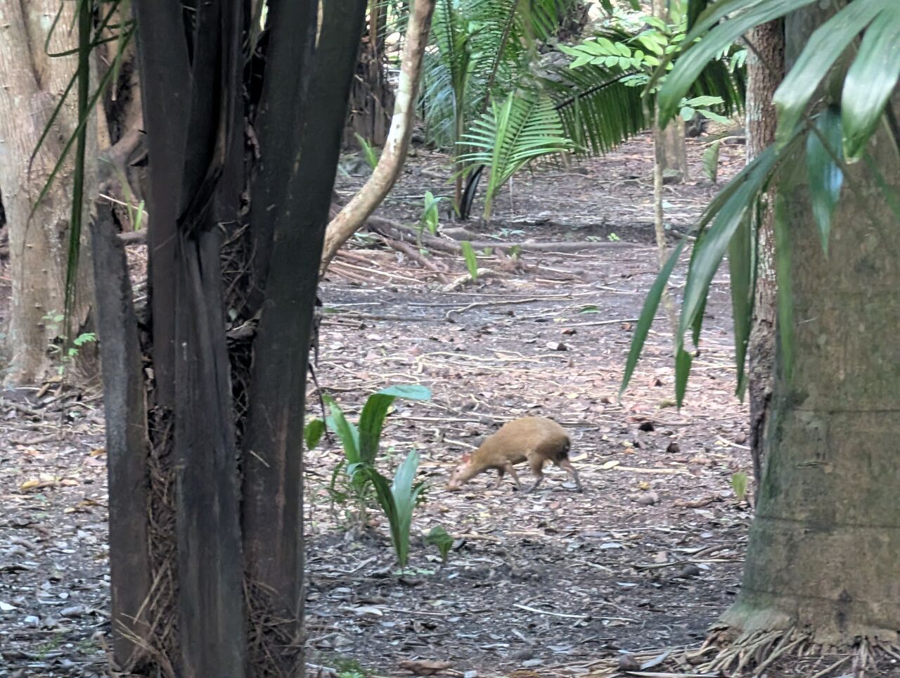 PXL_20260103_212857440