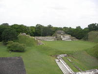 tyojo