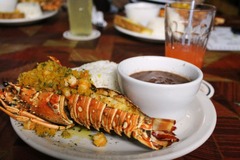 lobster
