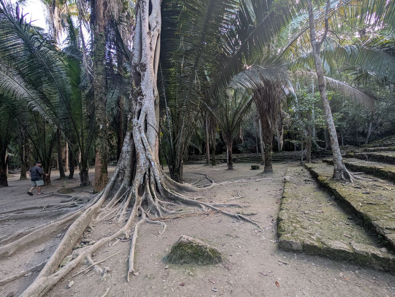 PXL_20260103_212436228