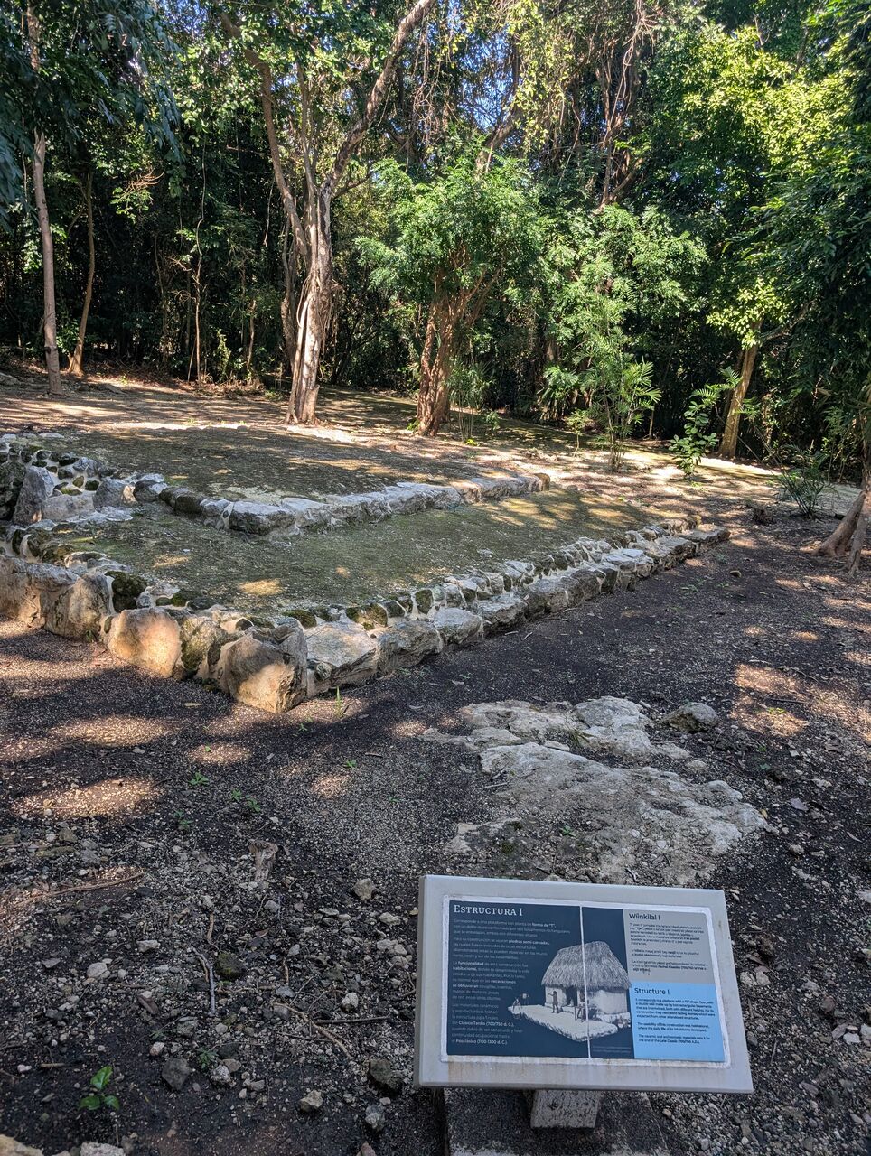 PXL_20260103_182216196