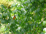 P1050111