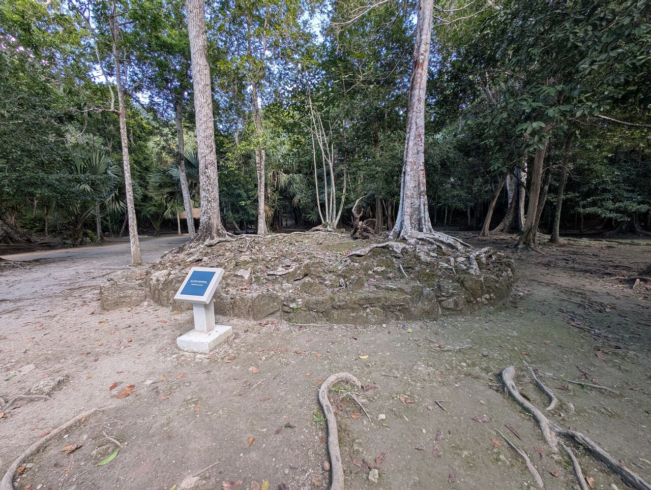 PXL_20260103_211710622.MP