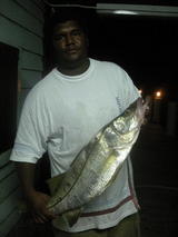 snook