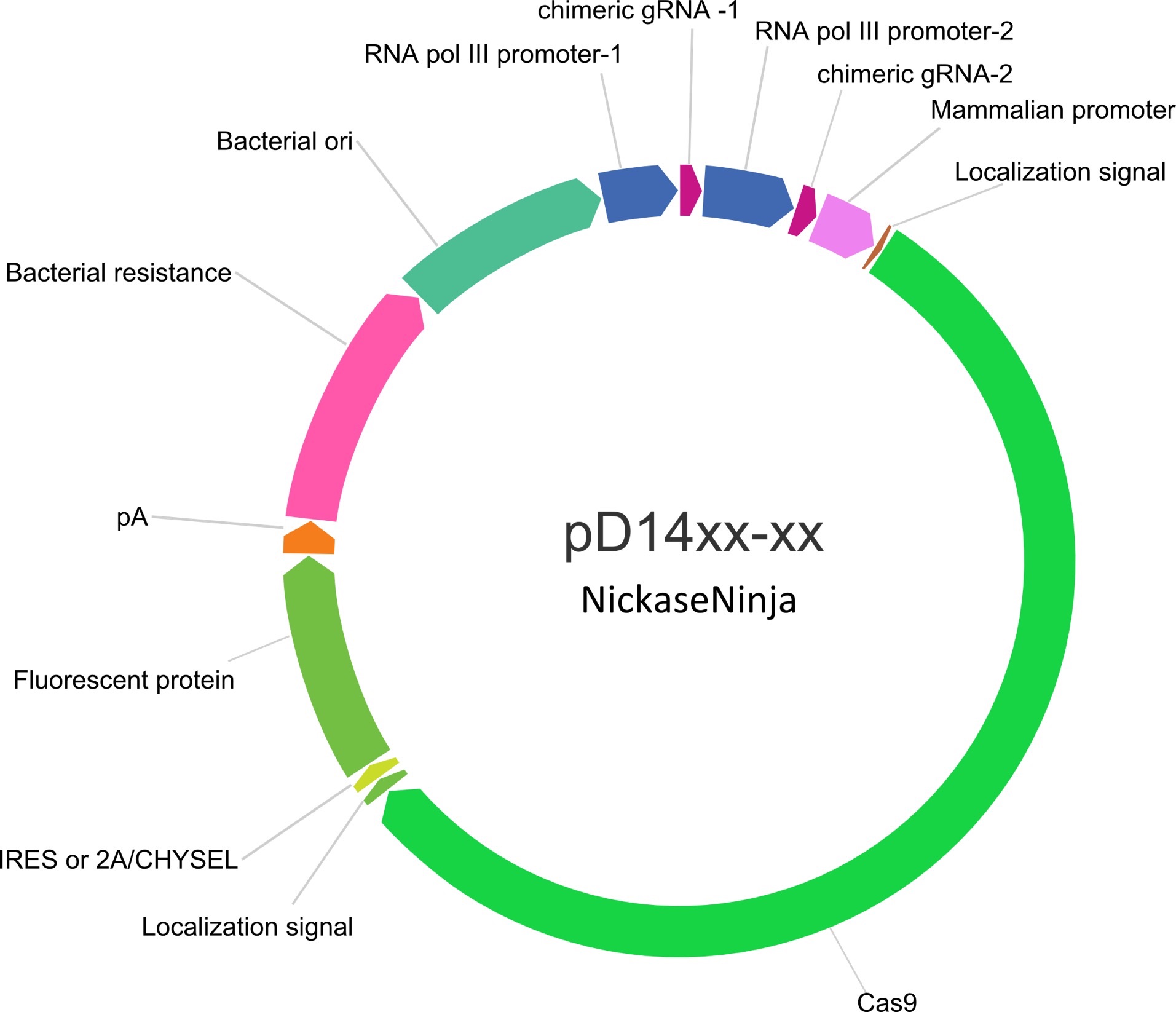 Crispr Cas9 Clustered Regularly Interspaced Short Palindromic Repeats 獨樂獨歩 Crispr Cas9 Clustered Regularly Interspaced Short Palindromic Repeats 獨樂獨歩