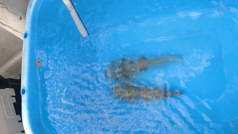 MOV_1100_exported_7488
