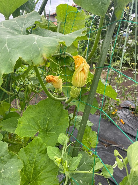 image0