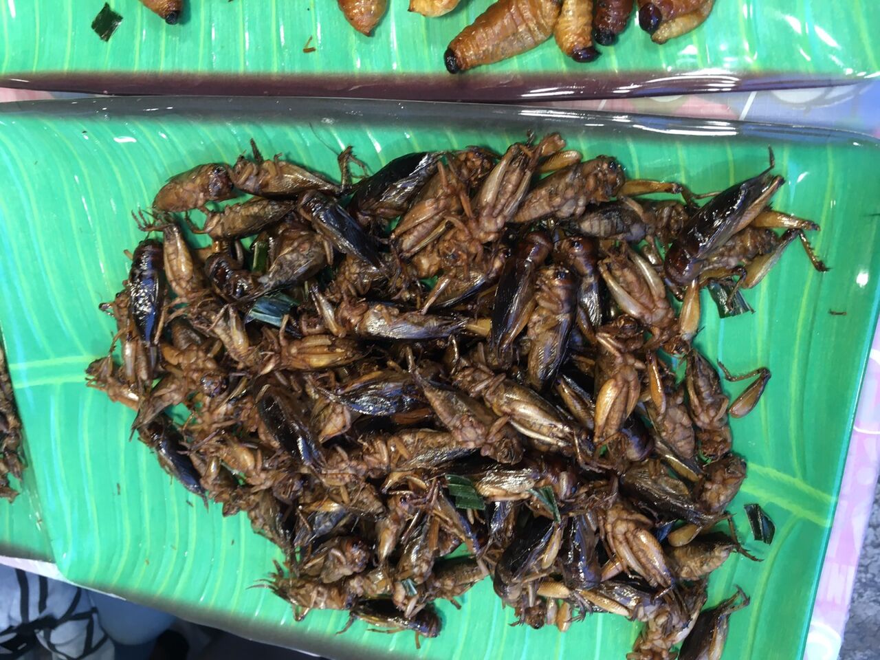 虫菓子話 タ イ からさがし