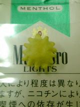 a6a44b12.jpg