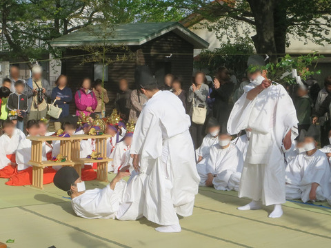 sumo_2