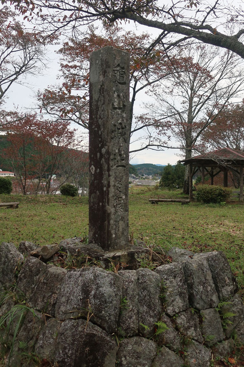 kameyamajyoushi
