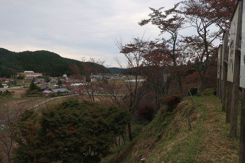 kameyamajyushi_2