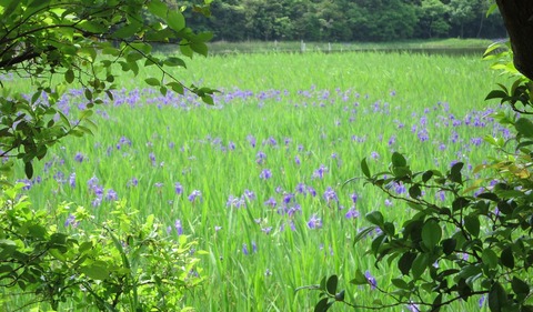 kozutsumi_2