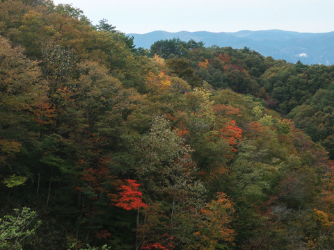 chausuyama_3