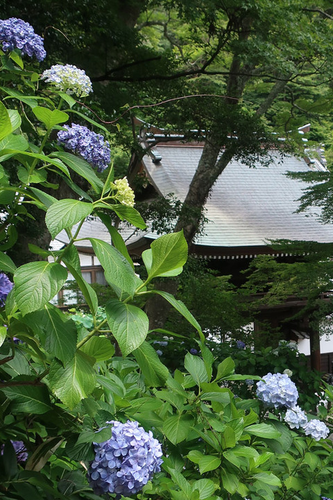 fumonji_9