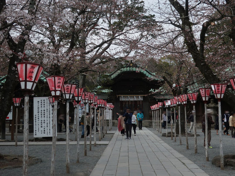 mishimataisya_3