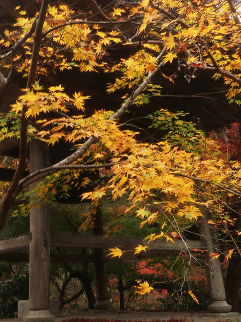 daitohin_5