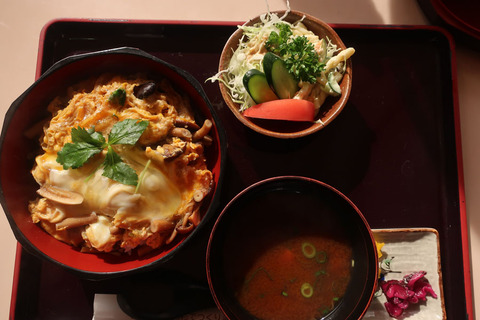 ieyasu