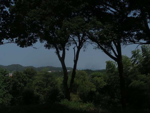 tenboudai