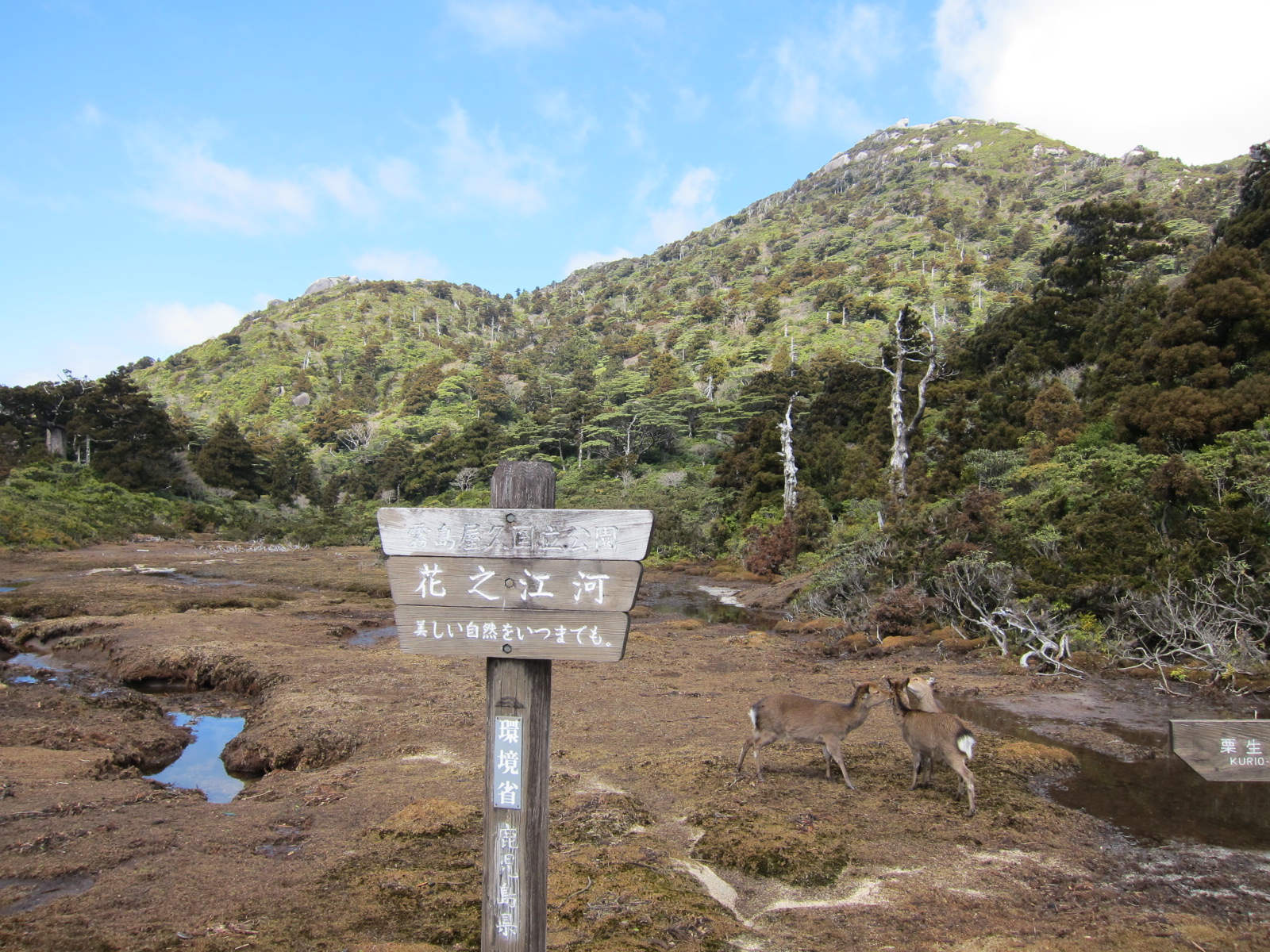 私の山岳紀行	  宮之浦岳 【2014/03/21 ～ 22】