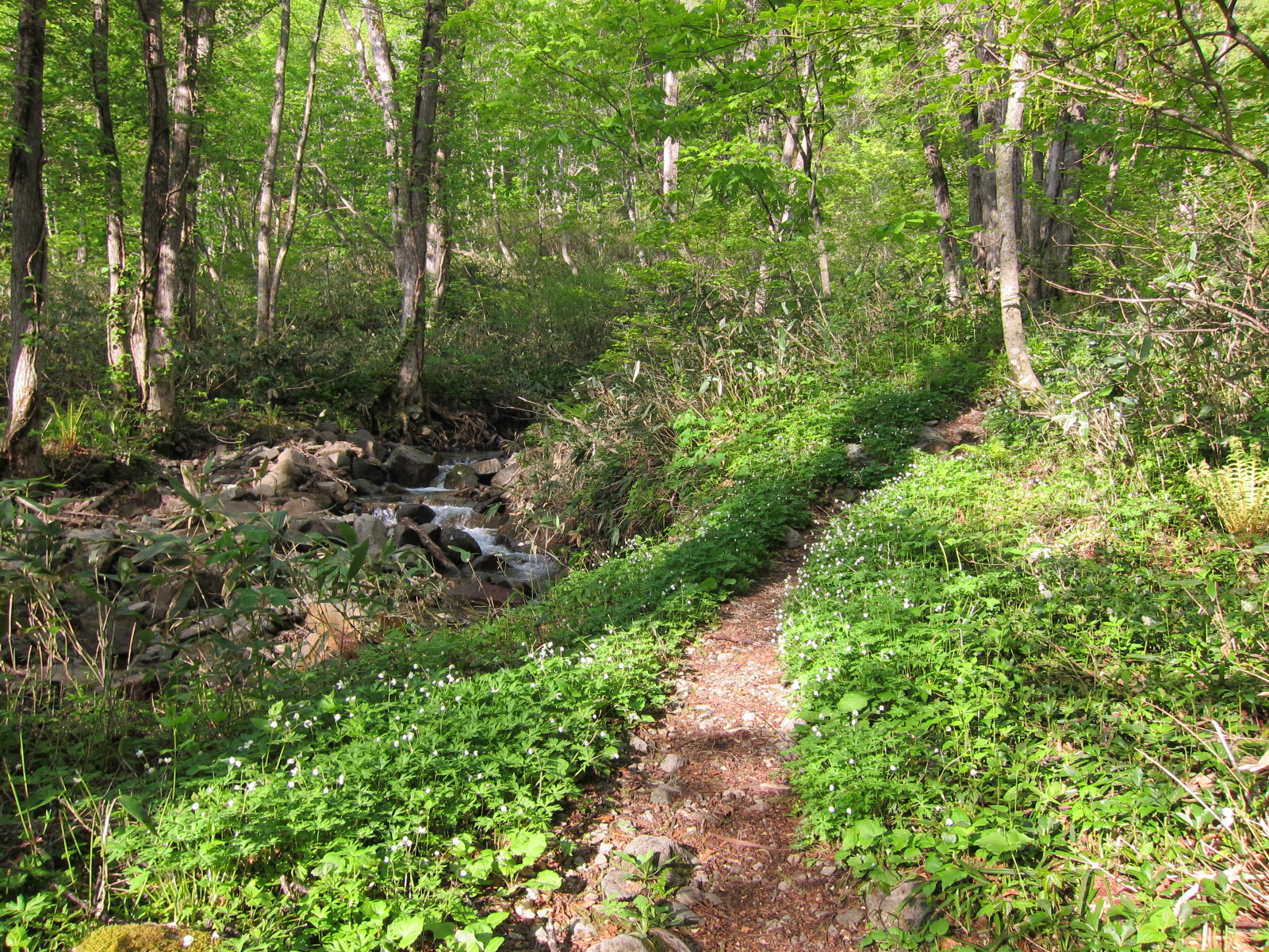 上川沿村