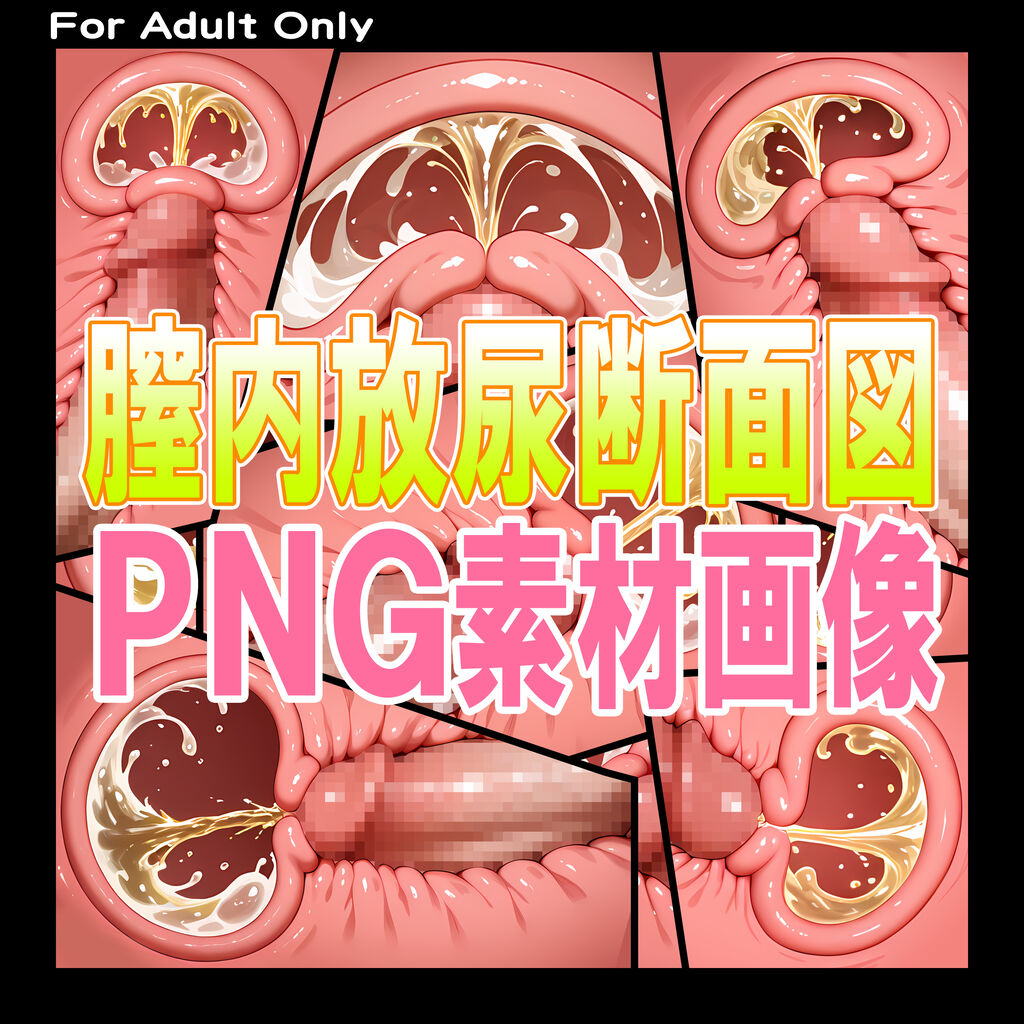膣内放尿断面図PNG素材画像