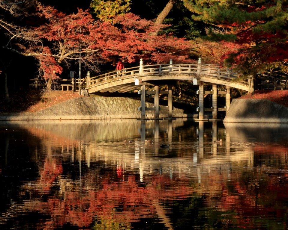 岡崎東公園紅葉を写す会受賞者 中日写真協会岡崎支部