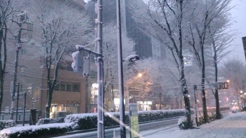0122大雪 東京池袋の状況