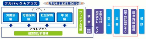 プラスカリキュラム図