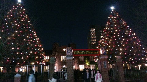 立教大学クリスマスツリー2