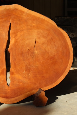 即決□ケヤキ1枚板の衝立□130×100cm□欅輪切り木製