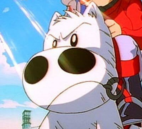 マキバオー カスケードとマキバオーを抑えてgiを勝利した良血馬 プラズマ まとめ特報 マキバオー カスケードとマキバオーを抑えてgiを勝利した良血馬 プラズマ まとめ特報