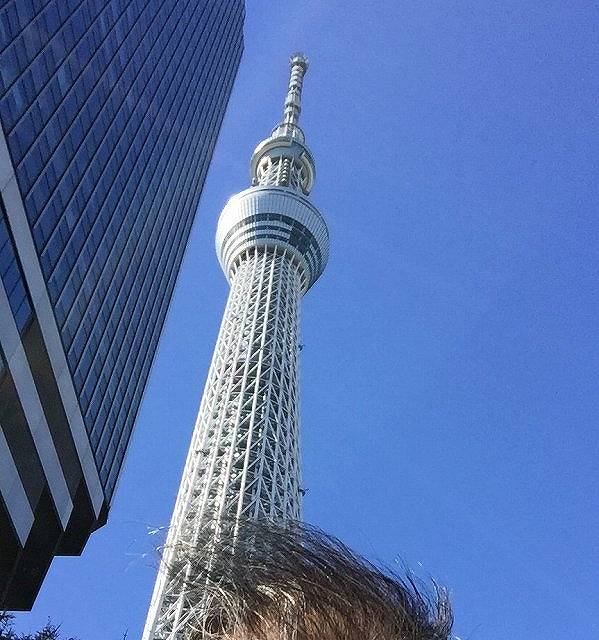 つま先ツンツンライダーとランチ 台風のちの強風で 東京スカイツリー エレベーター運行中止