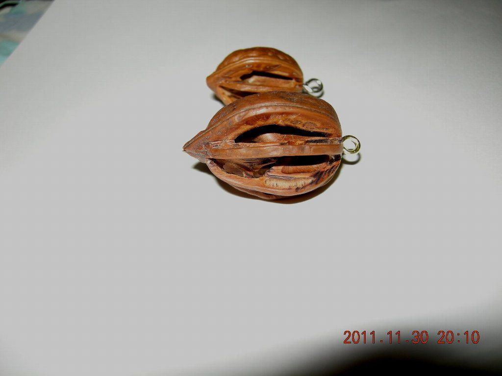 ぐたぐた日記 クルミのアクセサリー製作