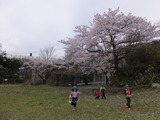 DSCF0021
