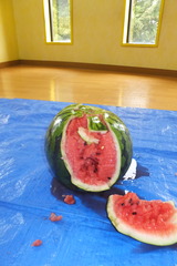 DSCF0858