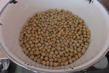 DSCF9684