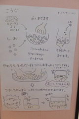 DSCF9884