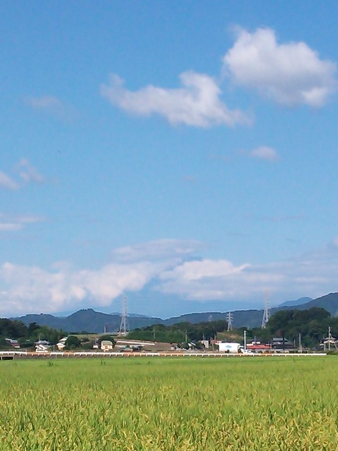 0827　伊勢原朝景色