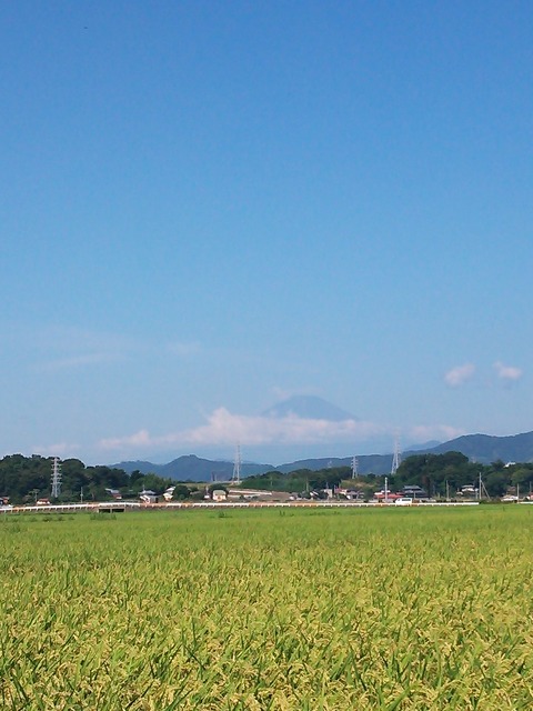 0828　伊勢原朝富士山