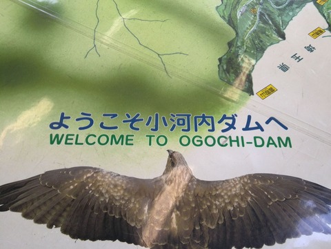 わし