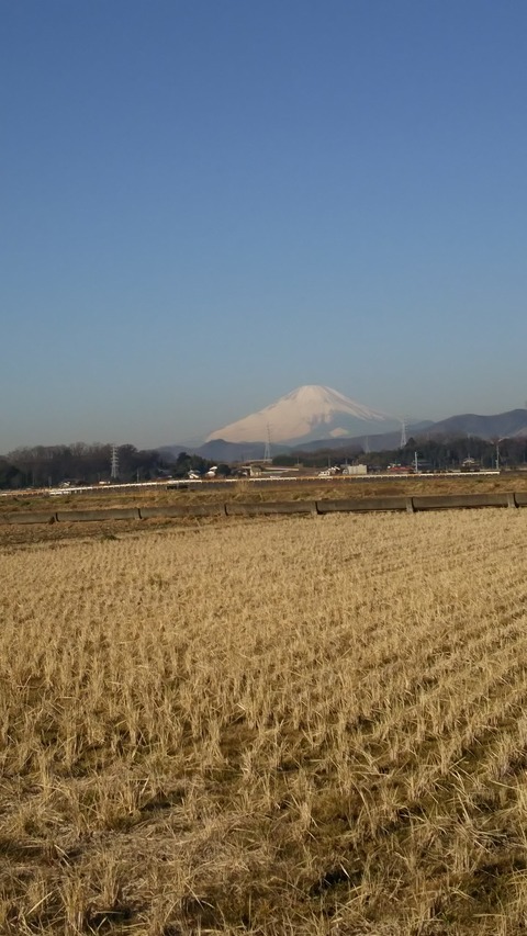 0128 富士山