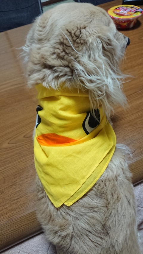 0227　チキンラーメン2