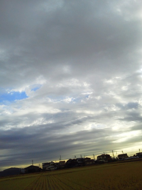 20121128　朝の風景