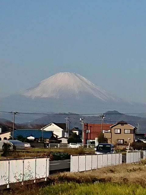 1130 富士山