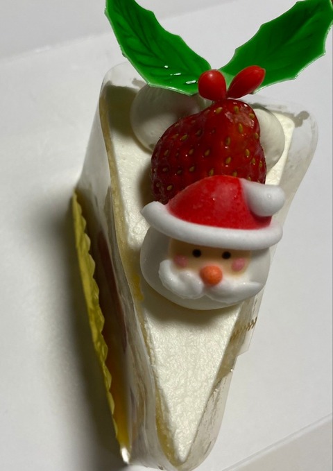 1225　クリスマスケーキ