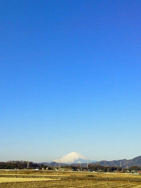 1226　朝伊勢原富士山