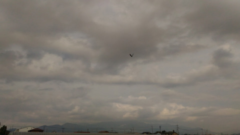 1030大山