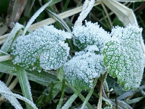 0122